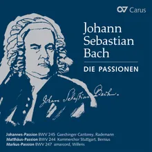 J.S. Bach: St. Marc Passion, BWV 247 / Pt. 2 - No. 29, Da fragte ihn der Hohepriester abermal