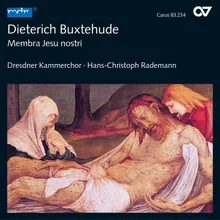 Buxtehude: Membra Jesu Nostri, BuxWV. 75 - Ic. Ad pedes. Aria