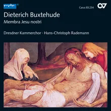 Buxtehude: Membra Jesu Nostri, BuxWV. 75 - IId. Ad genua. Tutti