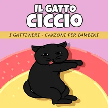 Il Gatto Ciccio