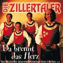 Zillertaler-Hitmix-Medley II