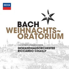 J.S. Bach: Christmas Oratorio, BWV 248 / Part One - For The First Day Of Christmas - No. 6 Evangelist: "Und sie gebar ihren ersten Sohn"