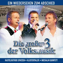 Alles ok-Medley Live 2010