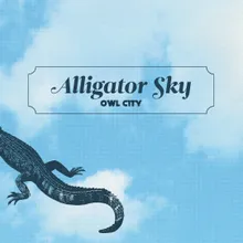 Alligator Sky Long Lost Sun Remix