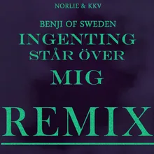 Ingenting står över mig Benji Of Sweden Dub Remix