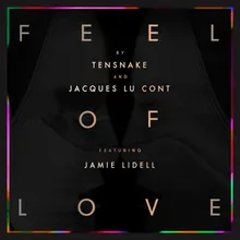 Feel Of Love Joe Goddard Remix