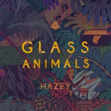 Hazey Dave Glass Animals Rework