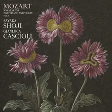 Mozart: Violin Sonata in E Minor, K. 304 - II. Tempo di minuetto