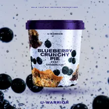 Blueberry Crunchy Pie