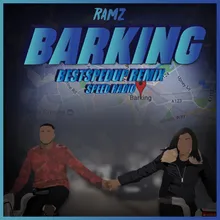 Barking Bestspedup Remix