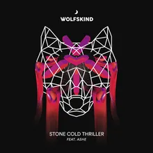 Stone Cold Thriller Radio Edit