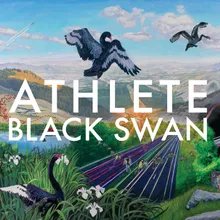 Black Swan Song-Acoustic - Album Version CD2