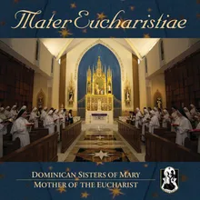 Singenberger: Ave Maria To Thee Holy Virgin