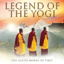 Legend Of The Yogi Radio Edit