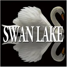 Tchaikovsky: Swan Lake, Op. 20: I. Scene