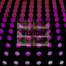 Vision