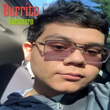 Burrito Sabanero