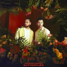 Butterflies (Stripped Version)