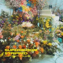 SUPERBLOOM (stripped) live from the bloom