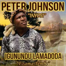 Ingunundu lamadoda