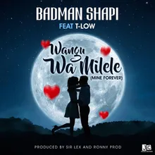 Wamilele (feat. T-Low)