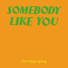 Somebody Like You