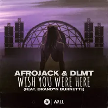 Wish You Were Here (feat. Brandyn Burnette) Extended Mix