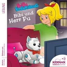 Kapitel 01: Bibi und Herr Fu