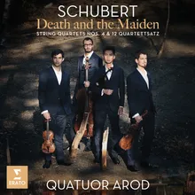 String Quartet No. 14 in D Minor, D. 810, "Death and the Maiden": II. Andante con moto. Variation III