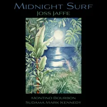 Midnight Surf