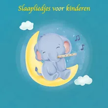 Slaap Kindje Slaap (slaapliedje)