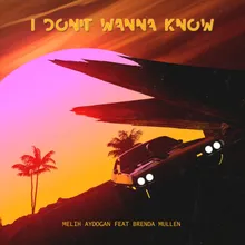 I Don't Wanna Know (feat. Brenda Mullen)