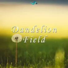 Dandelion Field