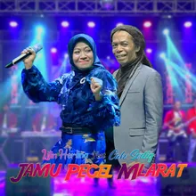 Jamu Pegel Mlarat (feat. Cak Sodiq)