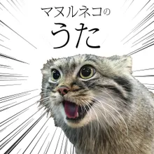 Pallas's cat song (feat. Tomomi Oda)