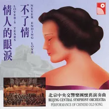 Qing Ren De Yan Lei (Instrumental)