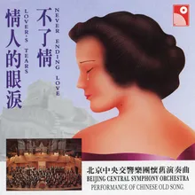 Meng Li Xiang Si (Instrumental)