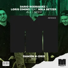 All I Need (feat. Mika Setzer) Damien N-Drix Remix