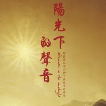 風中的蒲公英