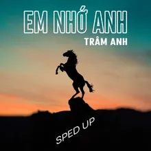 Em Nhớ Anh (Sped Up)