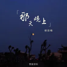 那天晚上