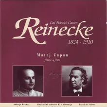 Concerto in D, Op. 283: II. Lento e mesto