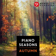 The Seasons, Op. 37a: XI. November - On the Troika