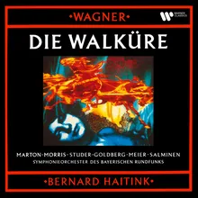 Wagner: Die Walküre, Act 3, Scene 1: "Schützt mich und helft in höchster Not!" (Brünnhilde, Die acht Walküren)