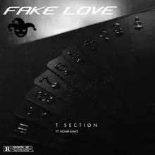 Fake Love (feat. Monir Baws)