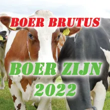 Boer Zijn 2022