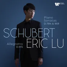 Piano Sonata No. 20 in A Major, D. 959: I. Allegro