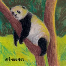 Viéndonos