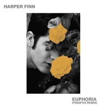 Euphoria (Pirapus Remix)