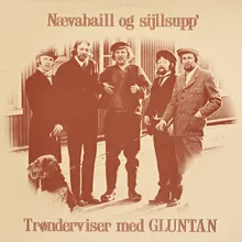 Fjellstemning 2010 Remastered Version